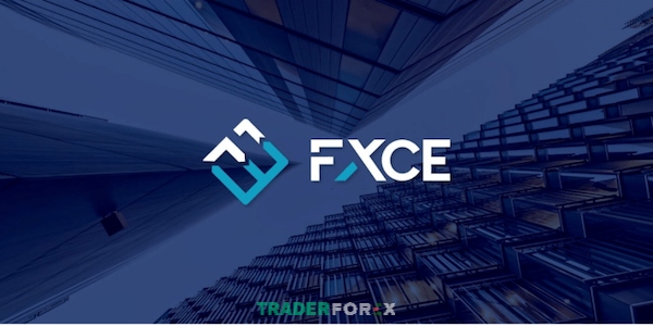 Sản phẩm FXCE đa dạng đưa đến nhiều sự lựa chọn