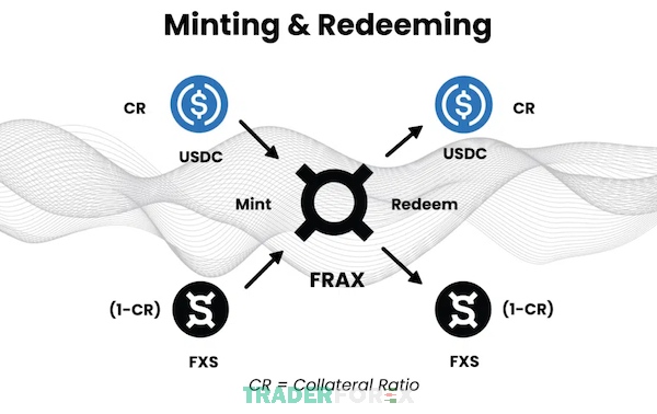 Cơ chế hoạt động của FRAX