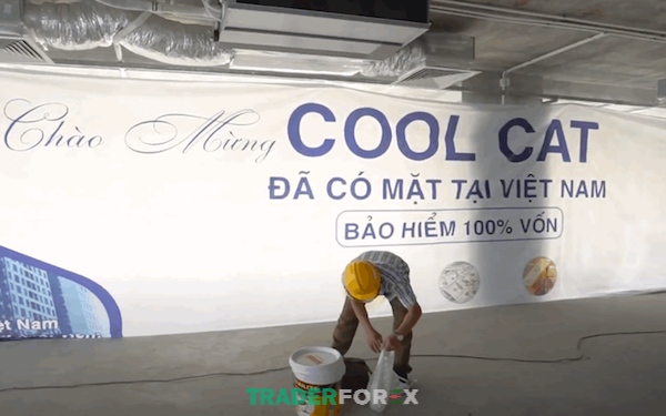 Liên tục đưa ra các sự kiện lớn để thu hút các nhà đầu tư