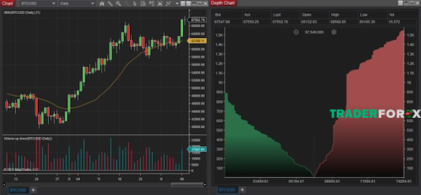 Depth Of Market (DOM) trong Ninjatrader là gì?