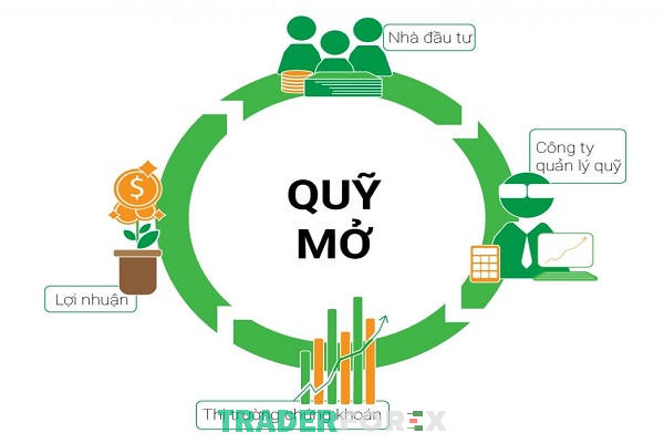 Quỹ mở là phương án đa dạng hóa được nhiều nhà đầu tư lựa chọn