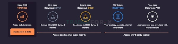 5 giai đoạn trước khi nhận được cấp vốn tại quỹ Darwinex Zero