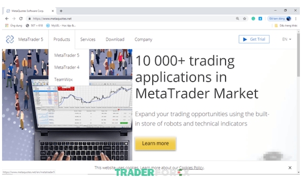 Trên Meta Quotes vẫn chưa có bất kỳ thông tin gì liên quan đến nền tảng MT6