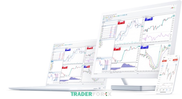 Không hề có thông tin nào về MT6 trên trang web của công ty phần mềm Meta Quotes