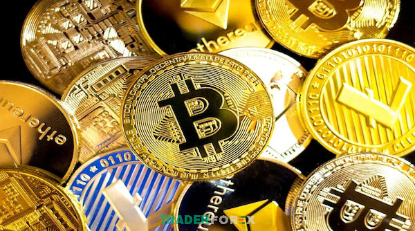 Lựa chọn đúng loại coin tiềm năng sẽ giúp nhà đầu tư đến gần với chiến thắng