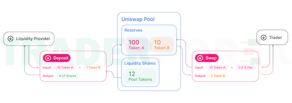 Liquidity Provider và Trader là đối tượng đầu - cuối trên Uniswap