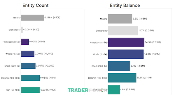 Bảng phân tích số lượng Cá voi tiền điện tử và toàn bộ cung Bitcoin mà họ nắm giữ