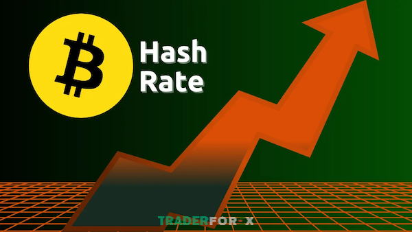 Bitcoin vẫn là một kênh đầu tư hấp dẫn khi Hashrate tăng cao