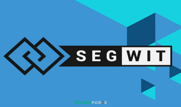 Segregated Witness (SegWit) tách chữ ký khỏi dữ liệu, giúp tăng giao dịch mỗi khối