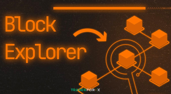 Block explorer ra đời từ những ngày đầu crypto giúp theo dõi giao dịch Bitcoin minh bạch