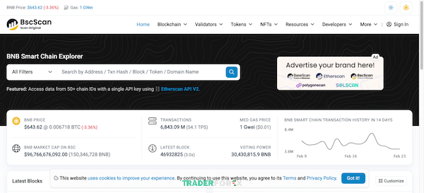 BscScan là trình khám phá blockchain hàng đầu cho BNB Chain giúp theo dõi giao dịch