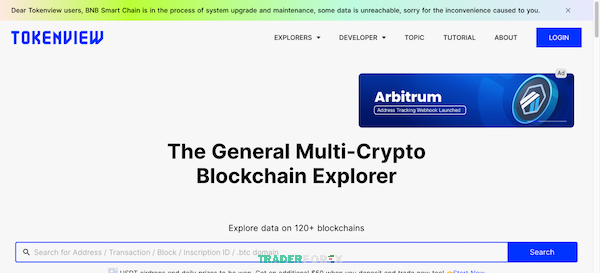 TokenView là Blockchain Explorer từ Trung Quốc hỗ trợ tra cứu dữ liệu và hơn 100 chuỗi