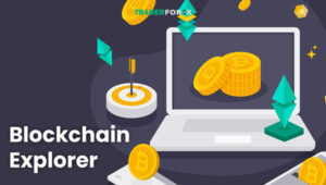 Blockchain Explorer
