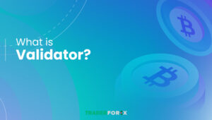 Validator là gì