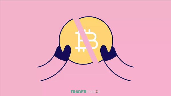 Bitcoin đã trải qua các đợt hard fork để tạo ra Bitcoin Cash (BCH) và Bitcoin Gold (BTG)