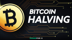 Bitcoin Halving là gì