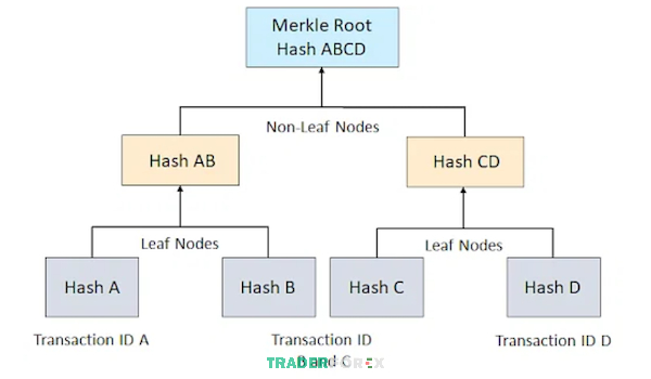 Cơ chế hoạt động của cây Merkle