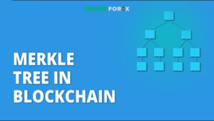 Merkle Tree là gì