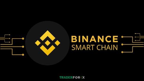 BSC (BNB Smart Chain) có tốc độ TPS ấn tượng, giúp giao dịch nhanh chóng